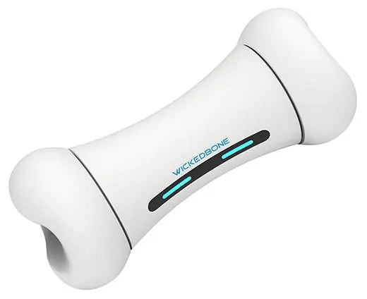 Interactive Dog Toy Cheerble Wickedbone