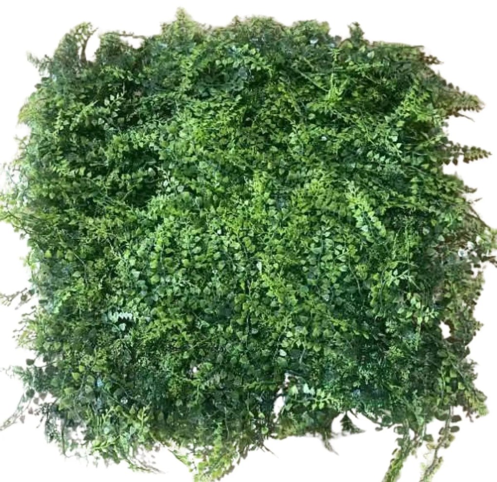 Supergreens Τεχνητή Φυλλωσιά Φτέρη Πράσινη 50x50 εκ. - 3071-7