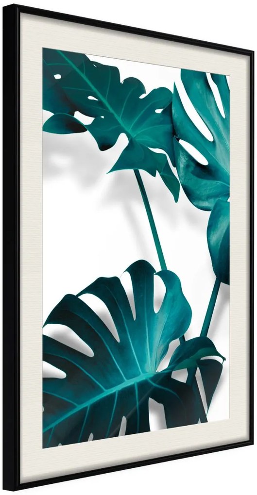 Αφίσα - Turquoise Monstera II - 20x30 - Μαύρο - Με πασπαρτού