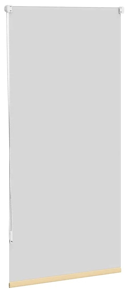 vidaXL Στόρι Συσκότισης Ρόλερ Μπεζ 60 x 120 εκ.