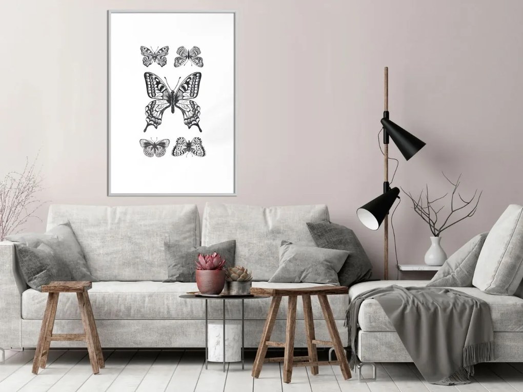 Αφίσα - Butterfly Collection IV - 20x30 - Μαύρο - Με πασπαρτού