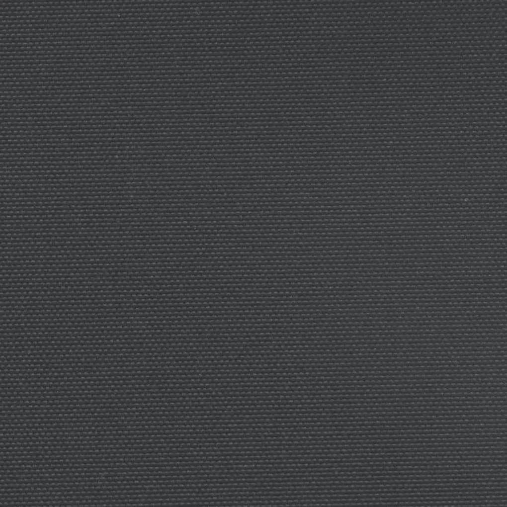 Σκίαστρο Πλαϊνό Συρόμενο Μαύρο 180 x 500 εκ. - Μαύρο
