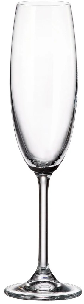 Ποτήρι Κολωνάτο Σαμπάνιας 220ml Colibri - Crystal Bohemia - 6 ΤΜΧ