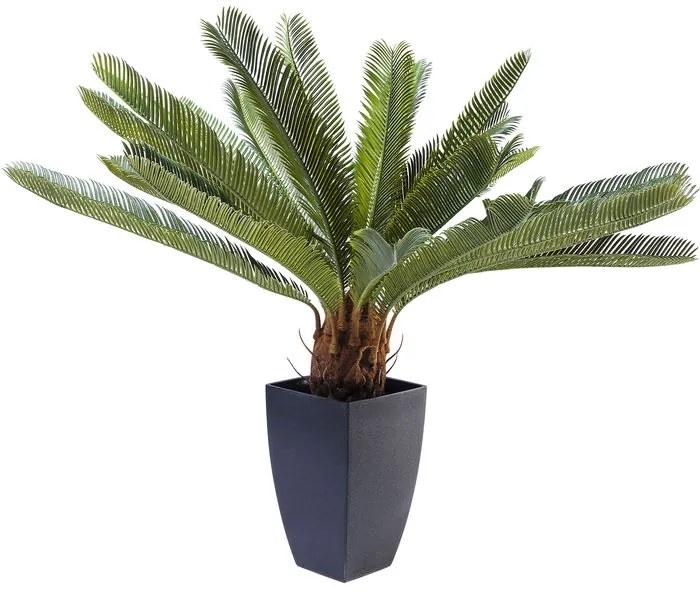 Διακοσμητικό Φυτό Cycas Tree Πράσινο 40x20x78 εκ. - Πράσινο