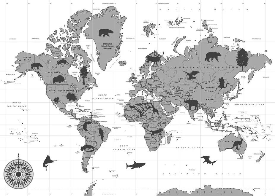Χάρτης εικόνων με ζώα σε μαύρο & άσπρο - 90x60