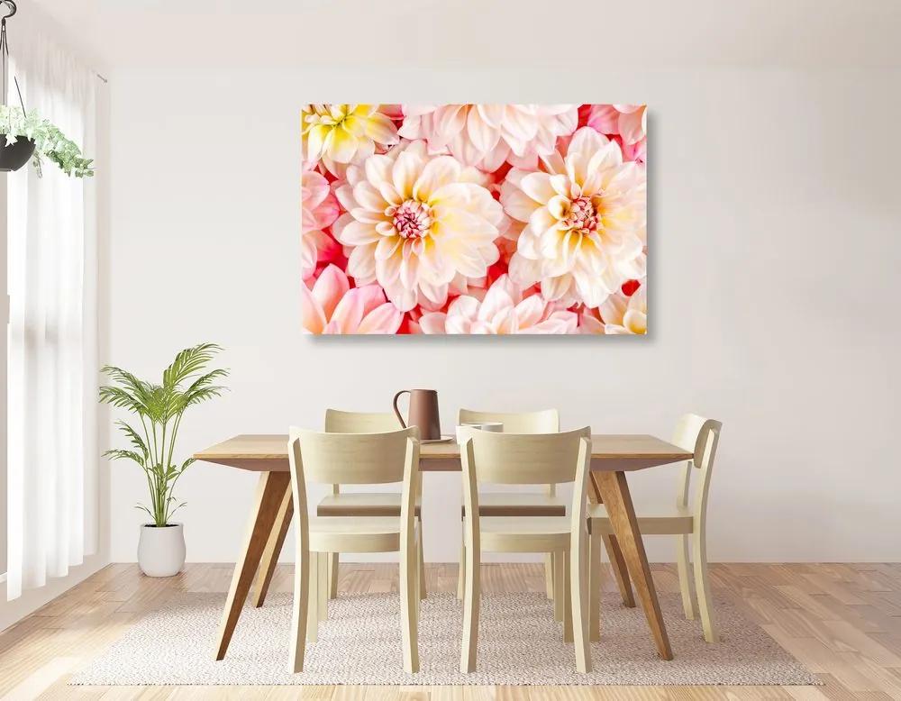 Εικόνα τρυφερά λουλούδια ντάλιας - 120x80