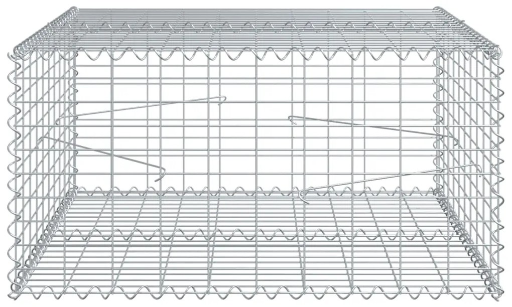 vidaXL Συρματοκιβώτιο με Κάλυμμα 100x100x50εκ. από Γαλβανισμένο Χάλυβα