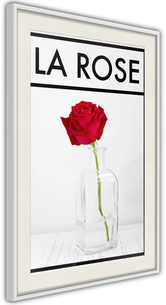 Αφίσα - Rose in the Vase - 20x30 - Χρυσό - Χωρίς πασπαρτού