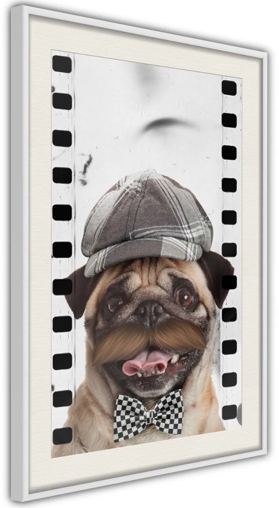 Αφίσα - Dressed Up Pug - 20x30 - Χρυσό - Χωρίς πασπαρτού