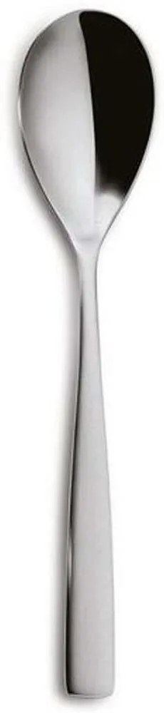 Κουτάλι Φρούτου CO00672500 18,5cm Inox Comas Stainless Steel