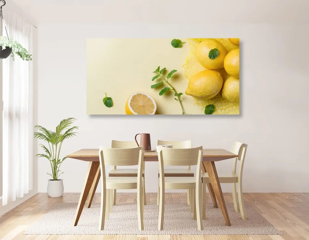 Εικόνα λεμόνια με μέντα - 100x50