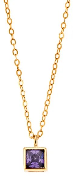 Μενταγιόν Senza Silver 925 Gold Plated
