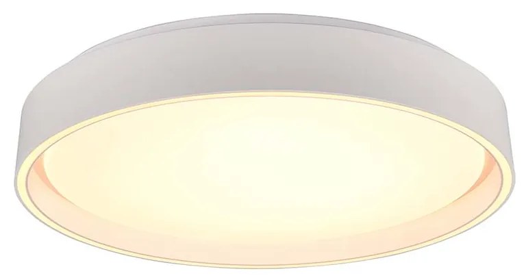 Φωτιστικό Οροφής RL Lighting Felis R64391031 Λευκό Ματ