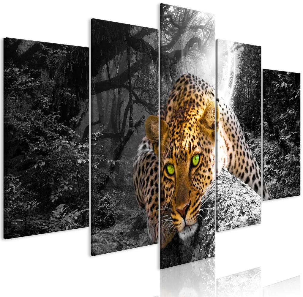 Πίνακας - Leopard Lying (5 Parts) Wide Grey 100x50