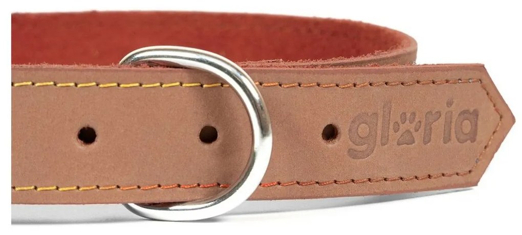 Κολλάρο Σκύλου Gloria Oasis Καφέ (1,2 x 35 cm)