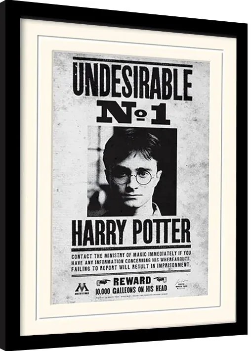 Κορνιζαρισμένη αφίσα Harry Potter - Undersirable No1