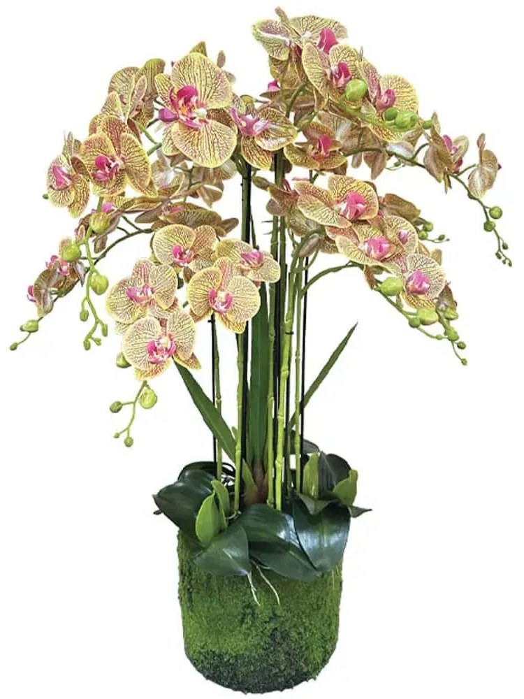 Τεχνητό Φυτό Ορχιδέα 04-94377-5 80cm Multi-Green Marhome Ύφασμα,Πλαστικό