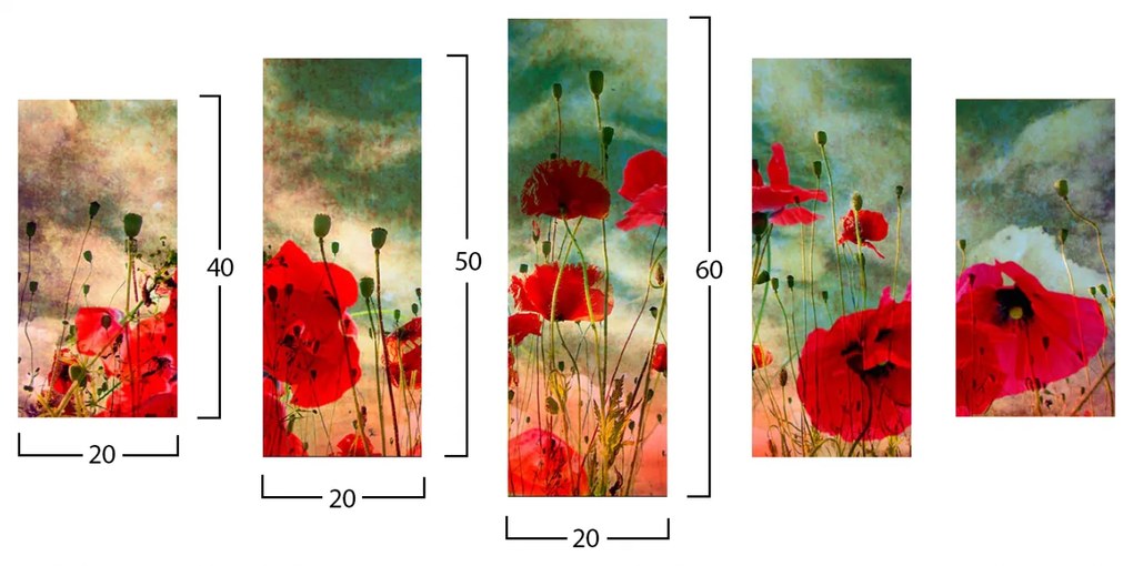 ΠΙΝΑΚΑΣ ΠΕΝΤΑΠΤΥΧΟ MDF POPPY FIELD HM7206.03 100X0,3X60 εκ. - 0544178 - HM7206.03