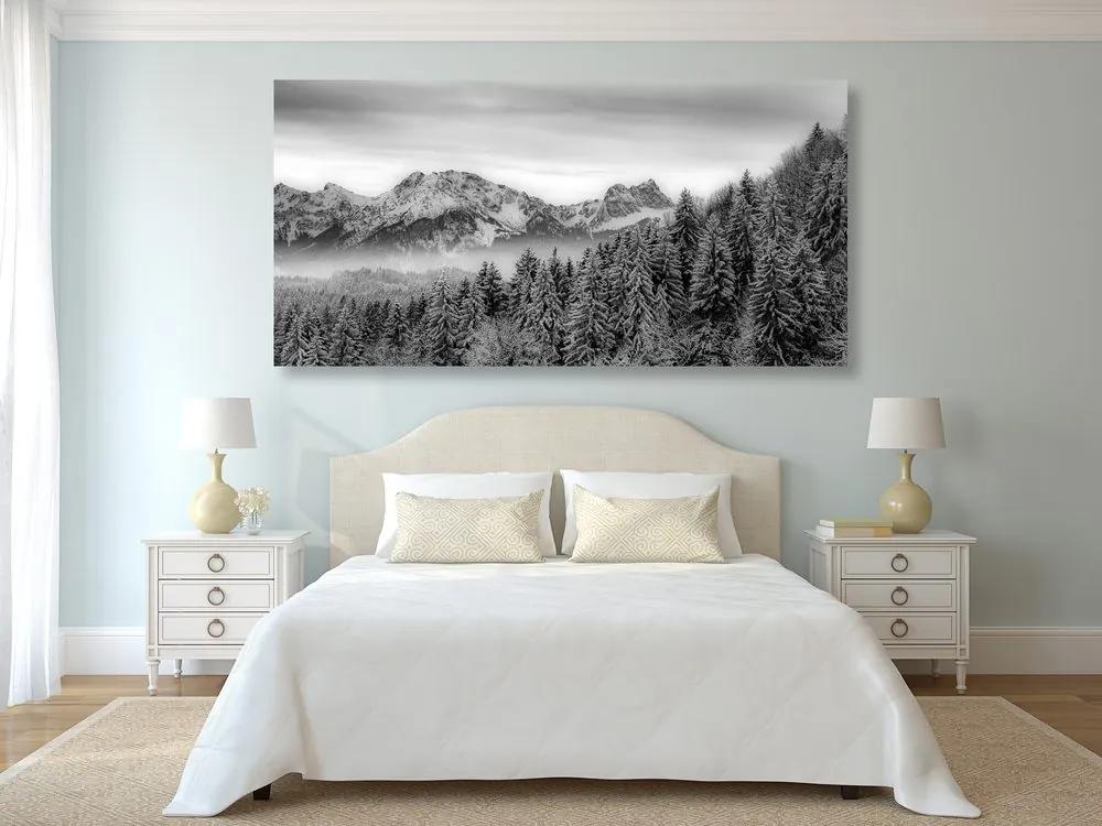 Εικόνα παγωμένων βουνών σε μαύρο & άσπρο - 100x50