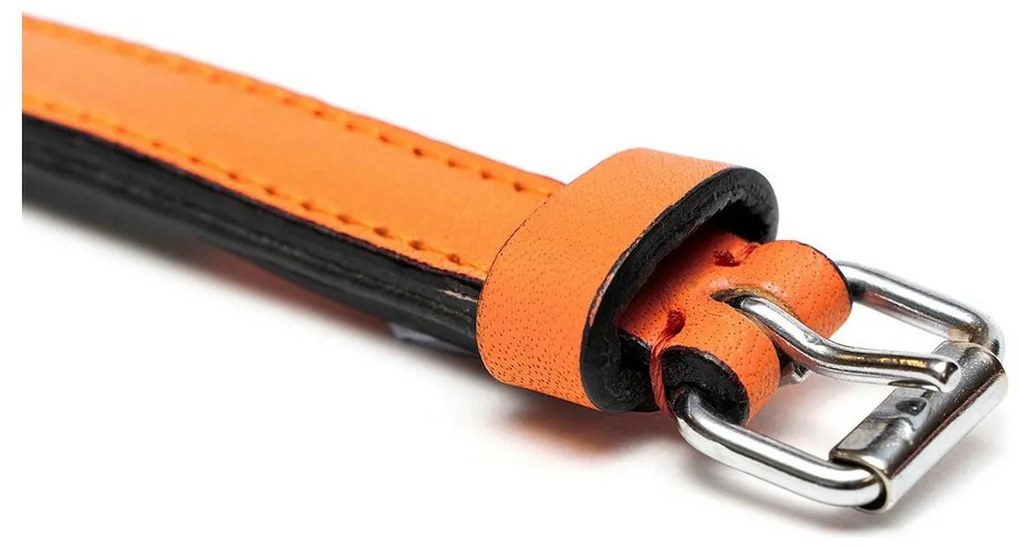 Κολλάρο Σκύλου Gloria Γεμισμένο Πορτοκαλί (55 x 2,5 cm)