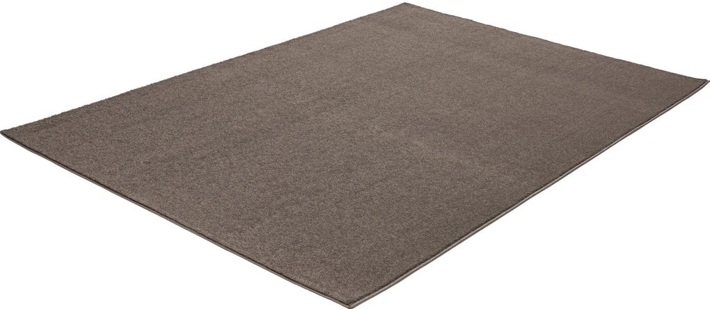 Χαλί Colore Colori Barbados 79 100 x 100 εκ. Gkri