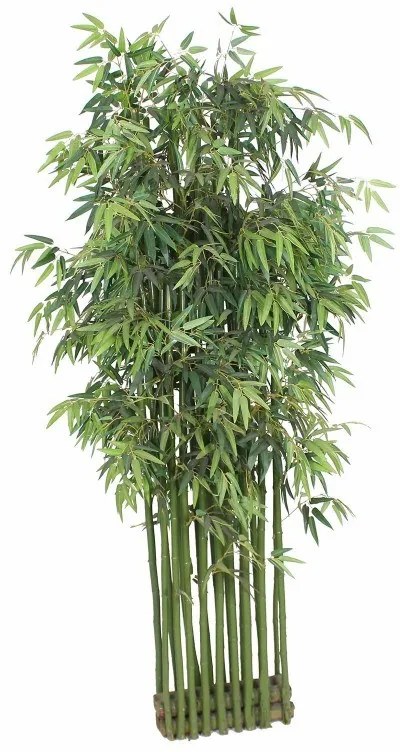 Supergreens Τεχνητό Μπαμπού Tallgrass Διαχωριστικό Πράσινο 200 εκ.