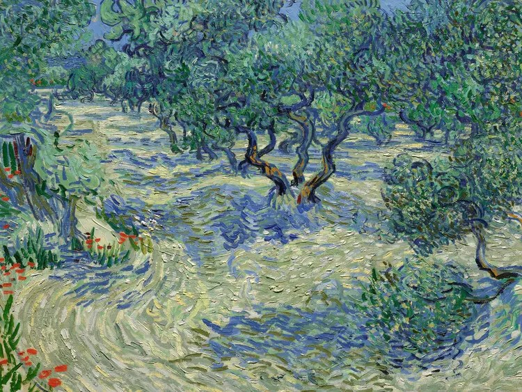 Αναπαραγωγή Olive Orchard, Vincent van Gogh