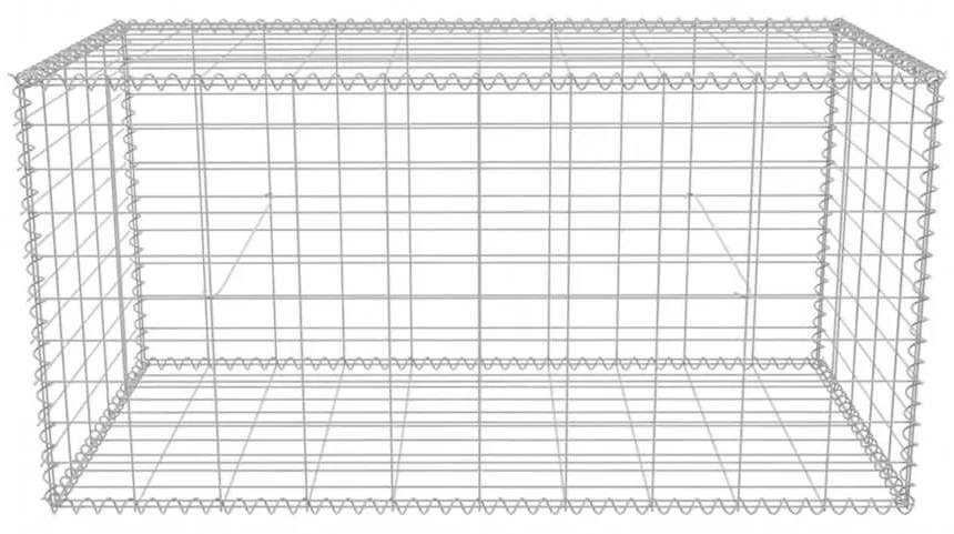 vidaXL Συρματοκιβώτιο 100 x 50 x 50 εκ. από Γαλβανισμένο Χάλυβα