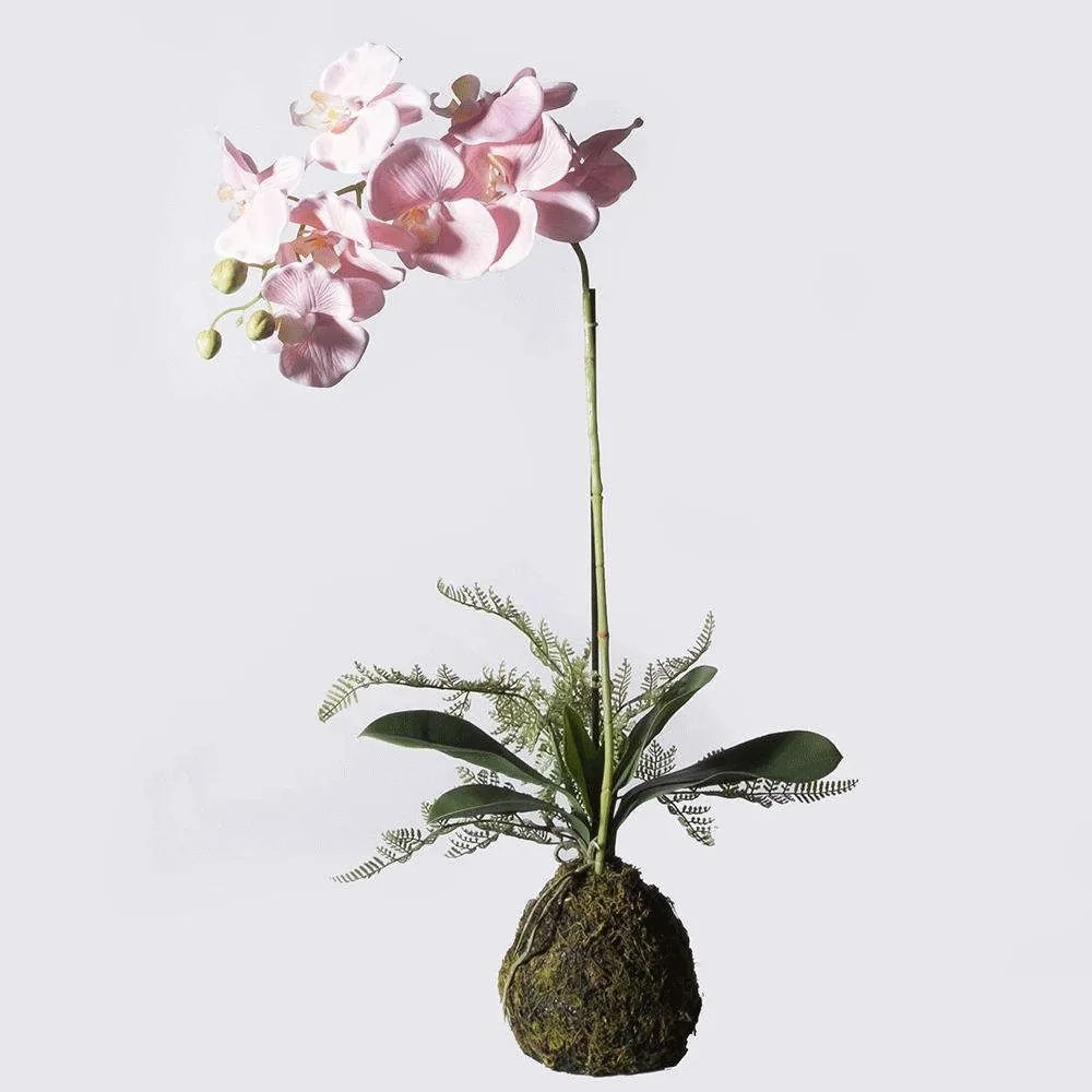 Τεχνητό Φυτό Ορχιδέα Με Βάση Moss 0170-6 30x15x60cm Pink Supergreens Polyethylene