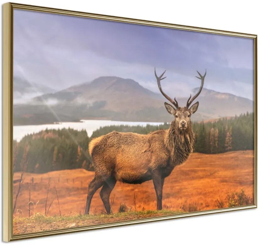 Αφίσα - Majestic Deer - 30x20 - Χρυσό - Χωρίς πασπαρτού