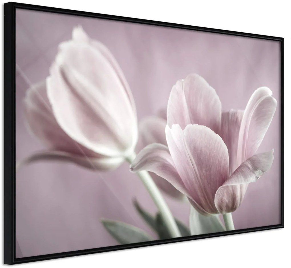 Αφίσα - Pastel Tulips I - 45x30 - Μαύρο - Χωρίς πασπαρτού