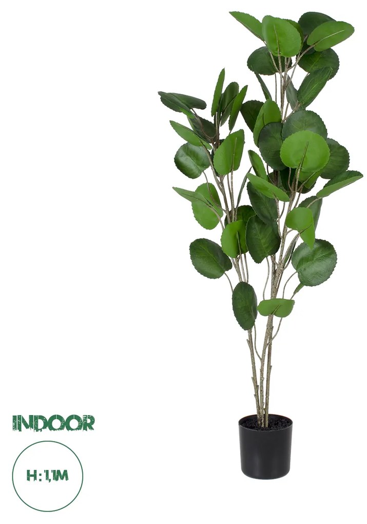 GloboStar® Artificial Garden POLYSCIAS BALFOURIANA TREE 20374 Τεχνητό Διακοσμητικό Φυτό Πολυσκιά Υ110cm