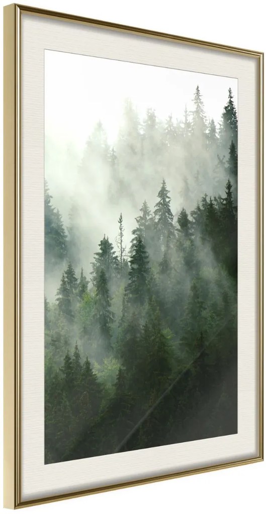 Αφίσα - Steaming Forest - 30x45 - Χρυσό - Με πασπαρτού