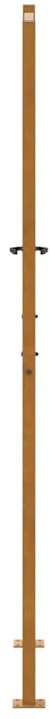 vidaXL Πύλη κήπου 105x205 cm από χάλυβα με φύλλα καιρικές συνθήκες
