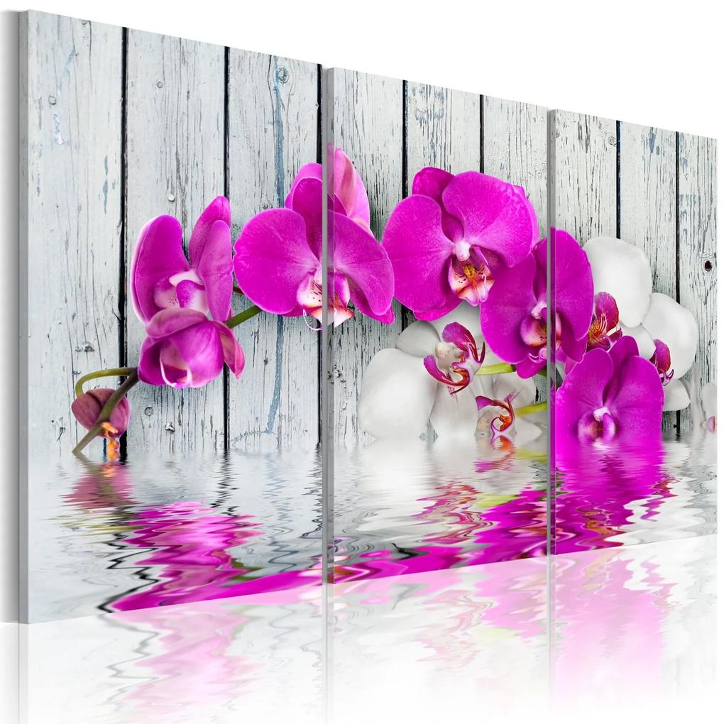 Πίνακας - harmony: orchid - Triptych 90x60