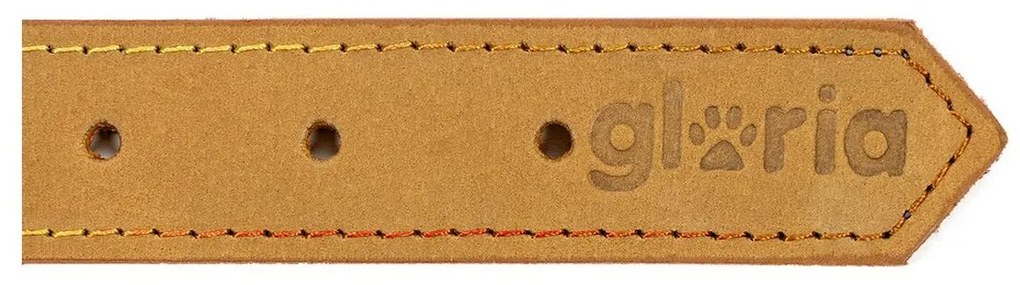 Κολλάρο Σκύλου Gloria Oasis Κίτρινο (70 x 3 cm)