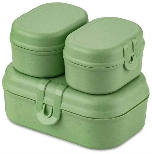 Koziol Σετ Φαγητοδοχείων 3Tμχ Pascal Ready Mini Nature Leaf Green 7151703