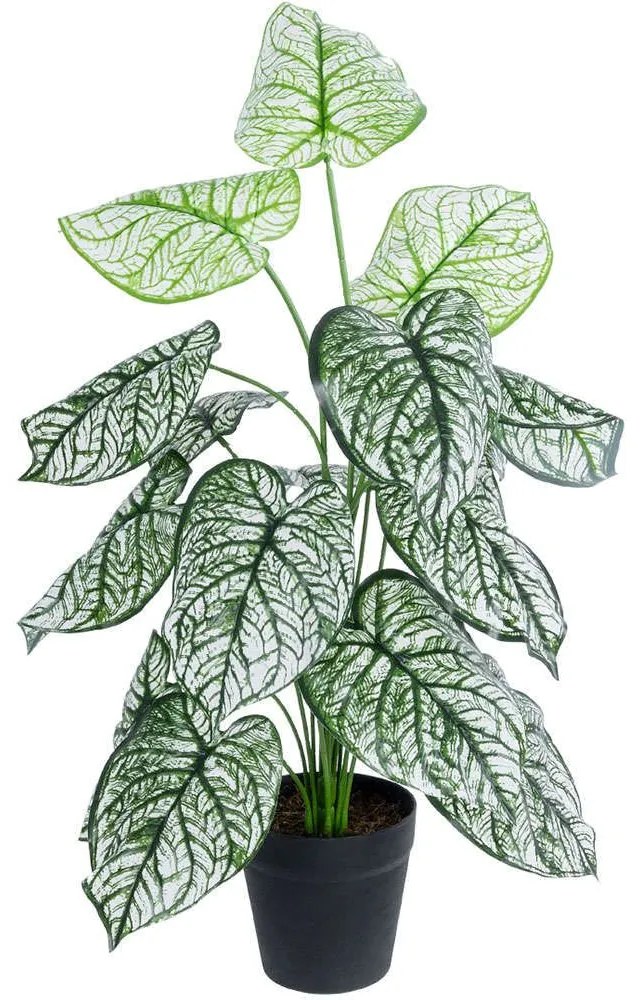 Τεχνητό Φυτό Caladium 20908 Φ60x75cm Green-White GloboStar Polyethylene,Fabric