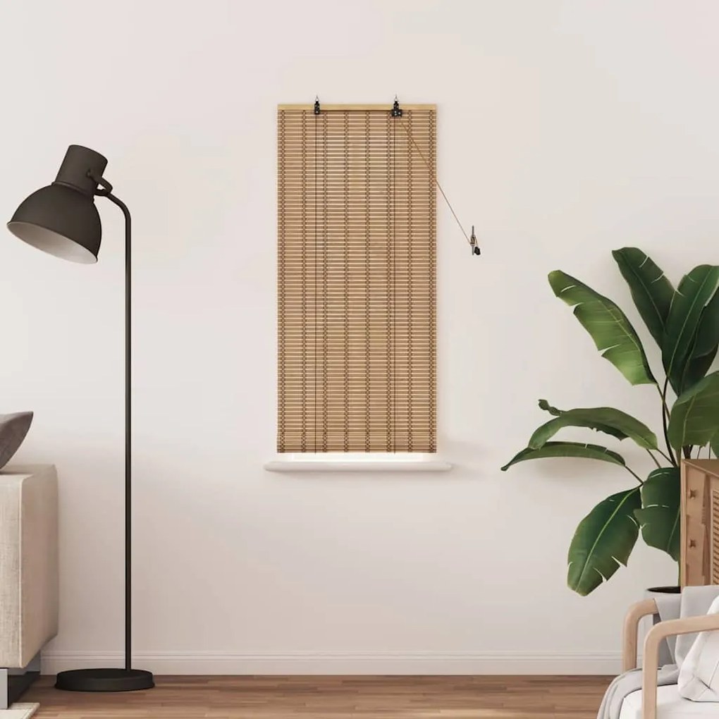 vidaXL Ρόλερ και Σκιάδια Ανοιχτό καφέ 60 x 160 εκ. Μπαμπού