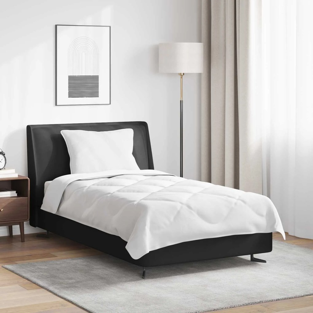 Πάπλωμα με μαξιλάρι 2 pcs Λευκό Μικροΐνες