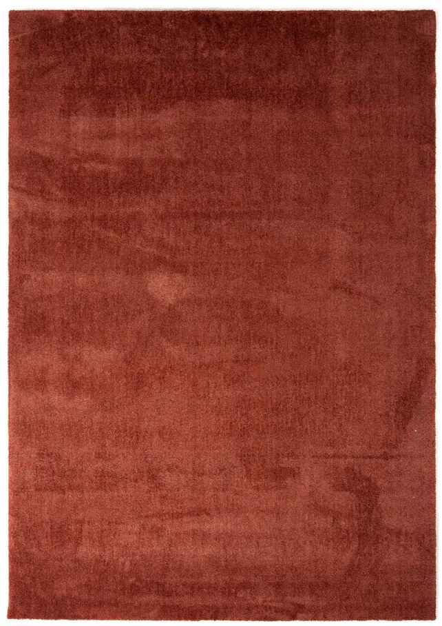 Χαλί Feel 71351 013 Royal Carpet - 200 x 290 cm