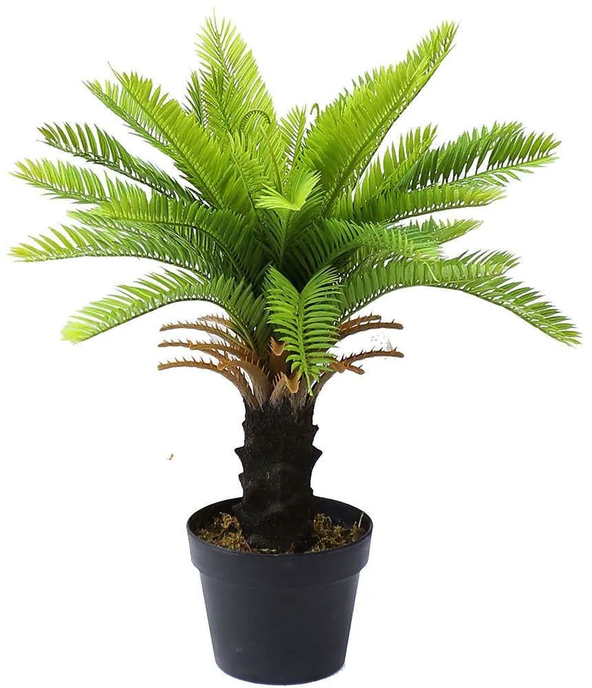 Τεχνητό Φυτό Τσίκας Μίνι 6280-6 45x60cm Green Supergreens Polyethylene