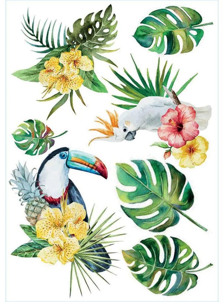 Tropical Birds αυτοκόλλητα τοίχου βινυλίου L (44208) - 44208