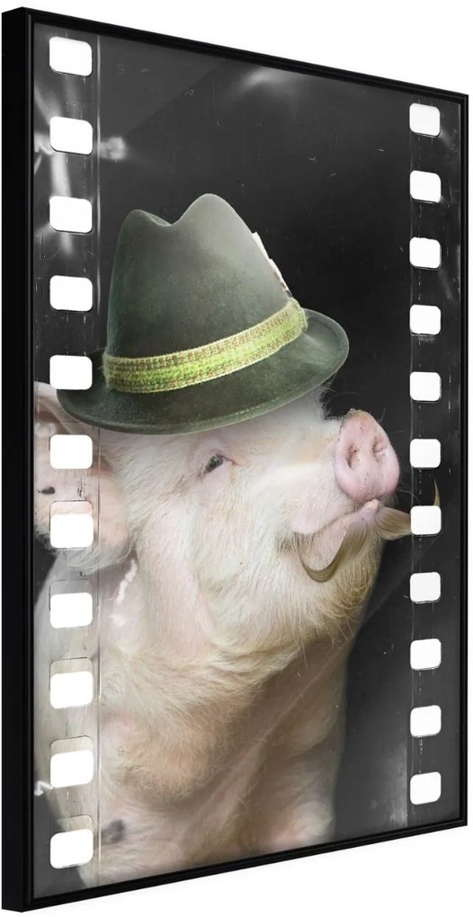 Αφίσα - Dressed Up Piggy - 30x45 - Μαύρο - Χωρίς πασπαρτού