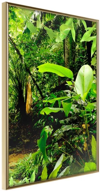 Αφίσα - In the Rainforest - 40x60 - Χρυσό - Χωρίς πασπαρτού