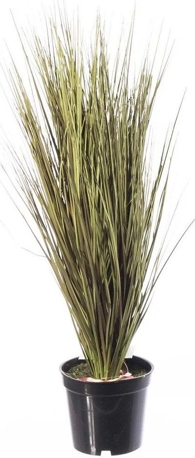 Τεχνητό Φυτό Χορτάρι Στίπα Argentina 5590-6 76cm Green Supergreens Πολυαιθυλένιο