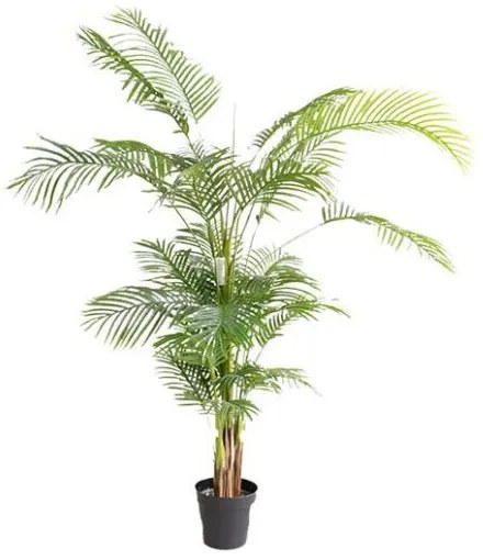New plan PALM TREE  NP5502_180_22 ΥΨΟΣ 180cm Τεμαχιο