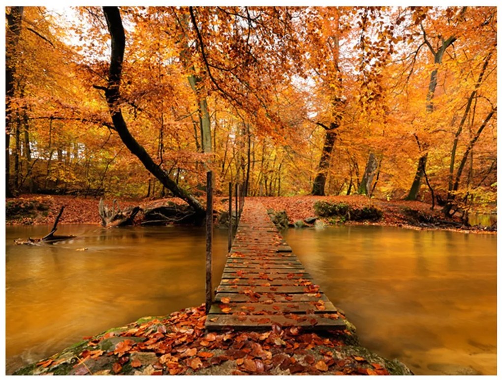 Φωτοταπετσαρία - Autumn bridge 200x154