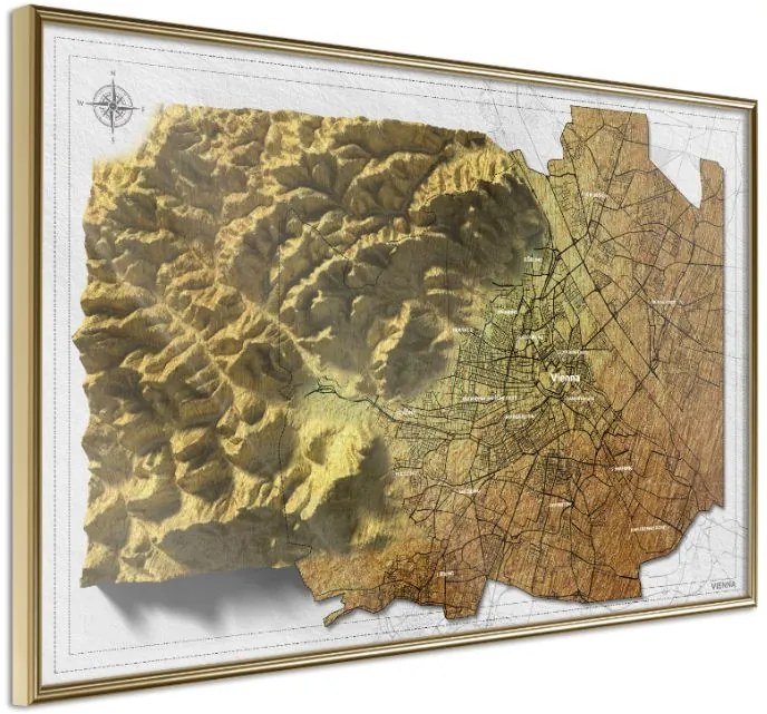 Αφίσα - Raised Relief Map: Vienna - 45x30 - Χρυσό - Χωρίς πασπαρτού