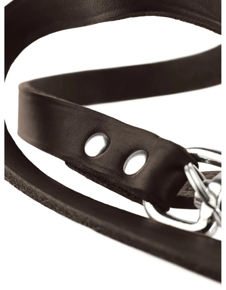 Λουρί Σκύλου Hunter Καφέ 2 m Ρυθμιζόμενο Δέρμα